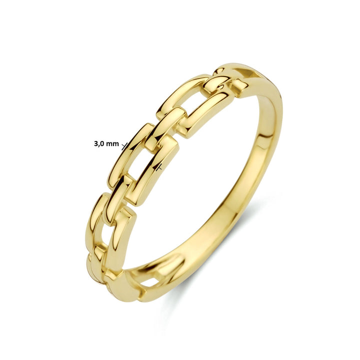 Ringglied 14K Gelbgold