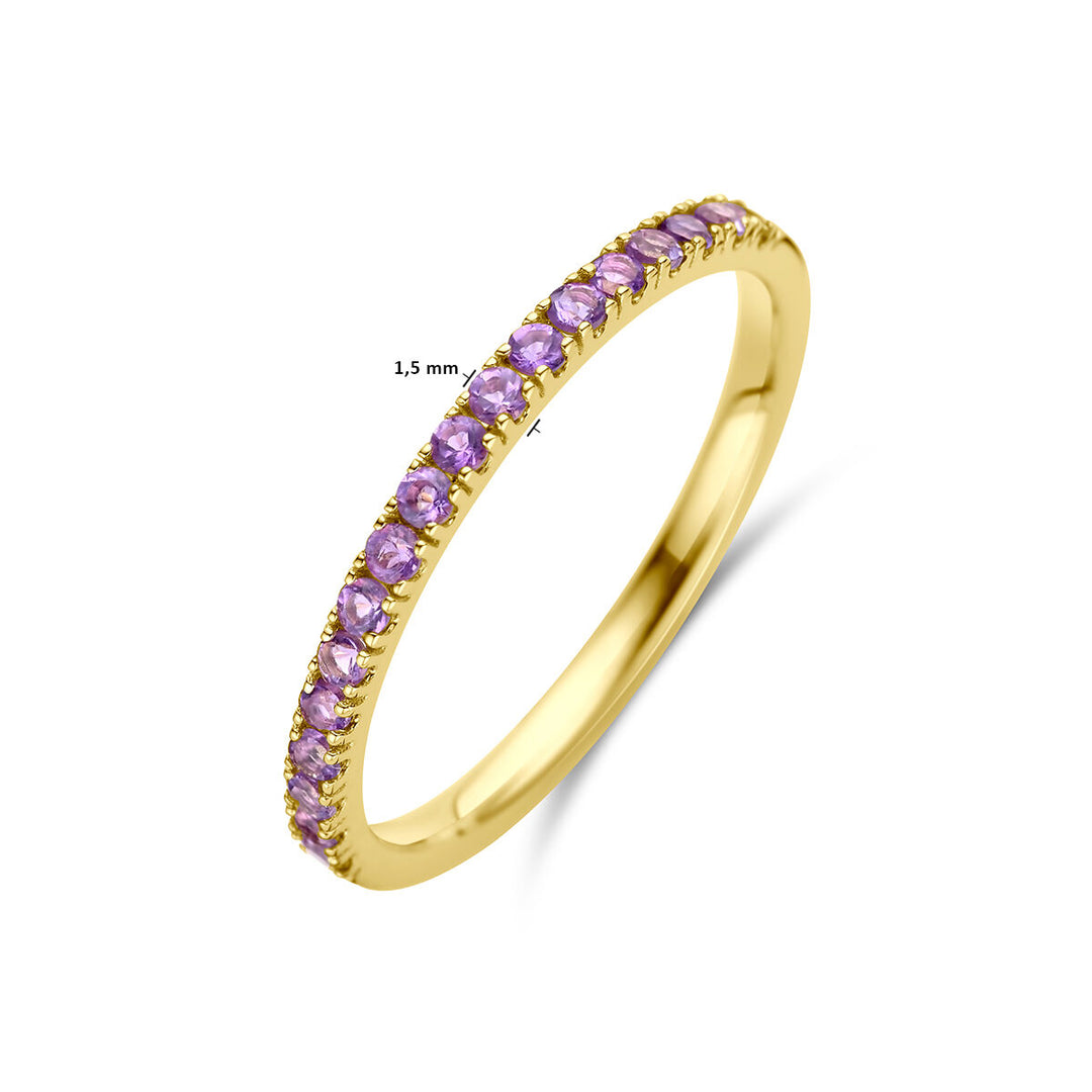 Ring mit Geburtsstein Amethyst 14. Februar Gelbgold