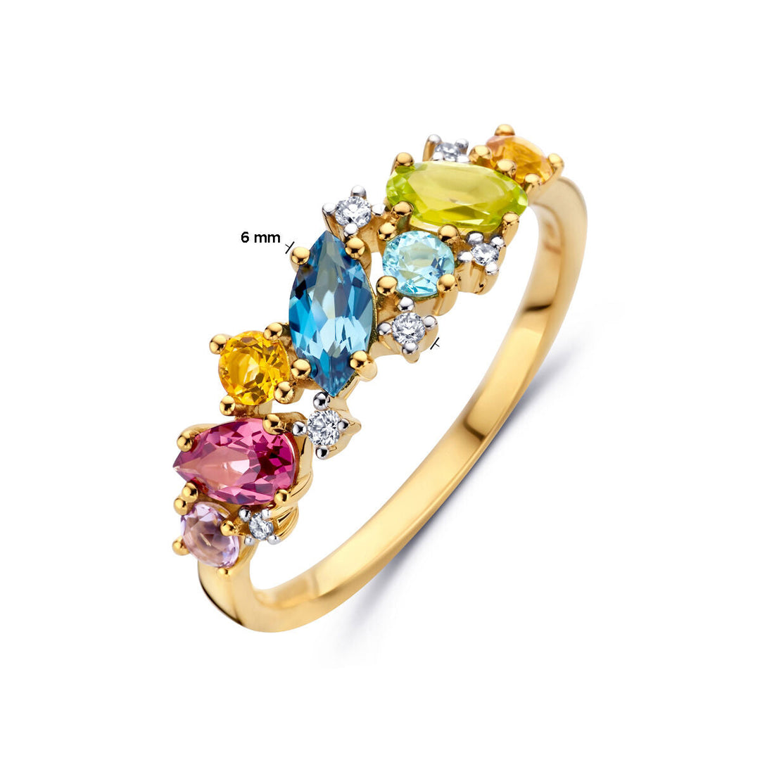 De Van der Kooij Collectie 14K geelgouden ring met natuurlijke kleurstenen en 0.04ct H SI diamant heeft edelstenen in blauw, groen, geel, roze en transparant (max. 6mm), afgewisseld met kleine diamanten.
