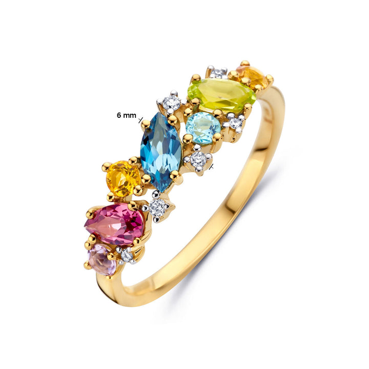 De Van der Kooij Collectie 14K geelgouden ring met natuurlijke kleurstenen en 0.04ct H SI diamant heeft edelstenen in blauw, groen, geel, roze en transparant (max. 6mm), afgewisseld met kleine diamanten.