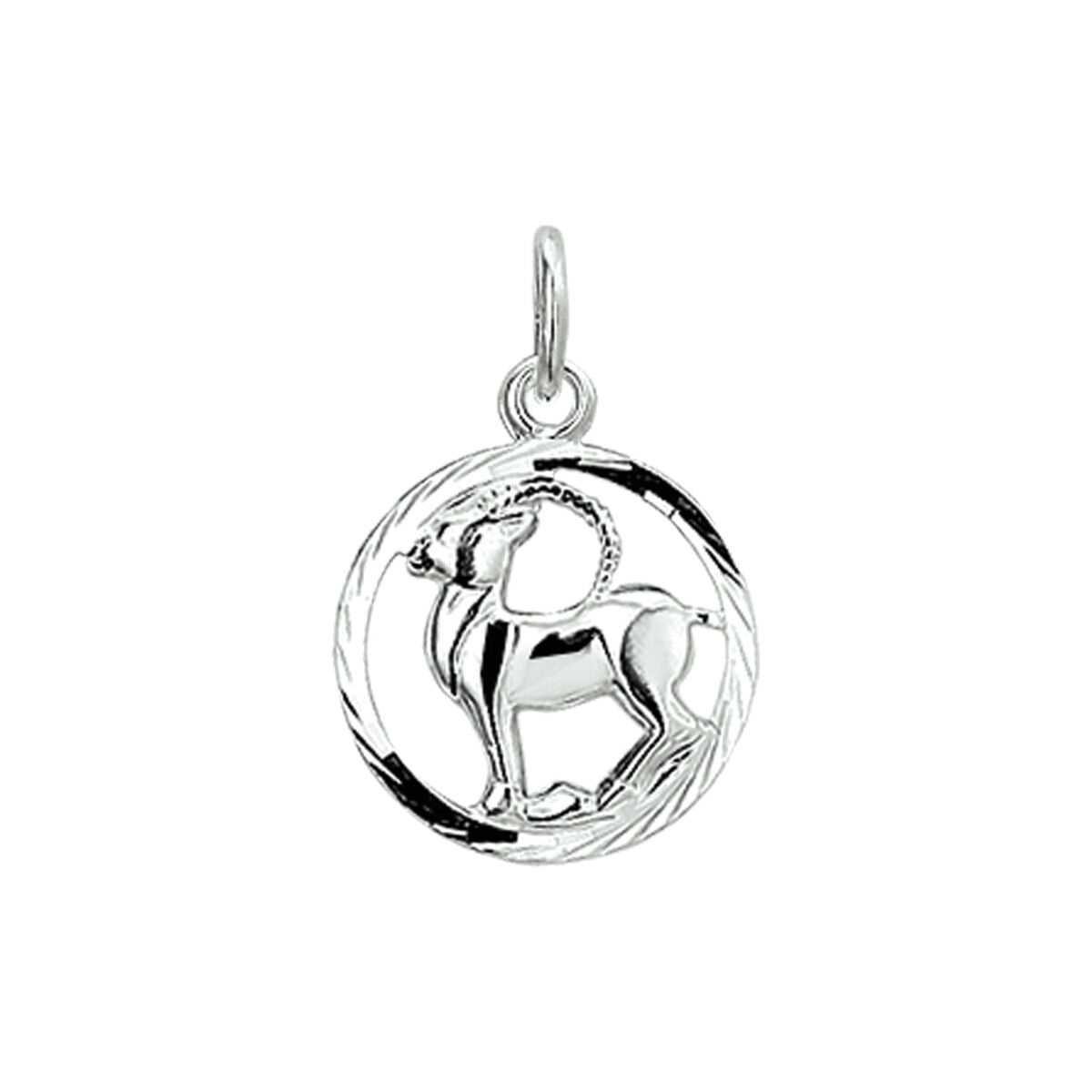 De hanger sterrenbeeld gediamanteerd zilver wit uit de Van der Kooij Collectie is een elegante unisex hanger met hoogglans afwerking, perfect om je sterrenbeeld stijlvol te dragen.