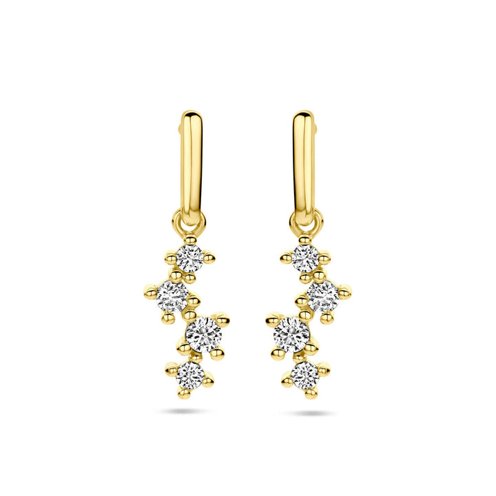 De Van der Kooij Collectie oorhangers zirkonia 14K geelgoud hebben clusters van sprankelende ronde zirkonia's in een bloemmotief - een elegante keuze voor liefhebbers van damessieraden.
