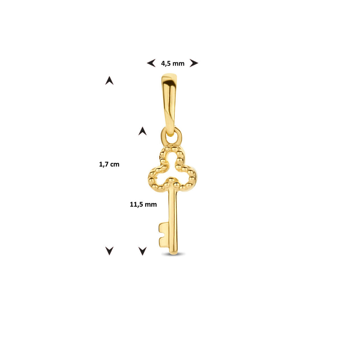 hanger sleutel 14K geelgoud