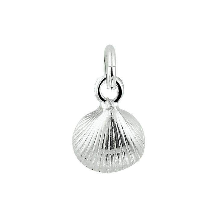 pendant shell silver white