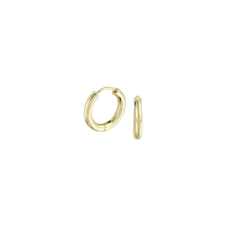 Gouden klapoorringen van 2,5 mm met een ronde vorm en een glanzende afwerking.