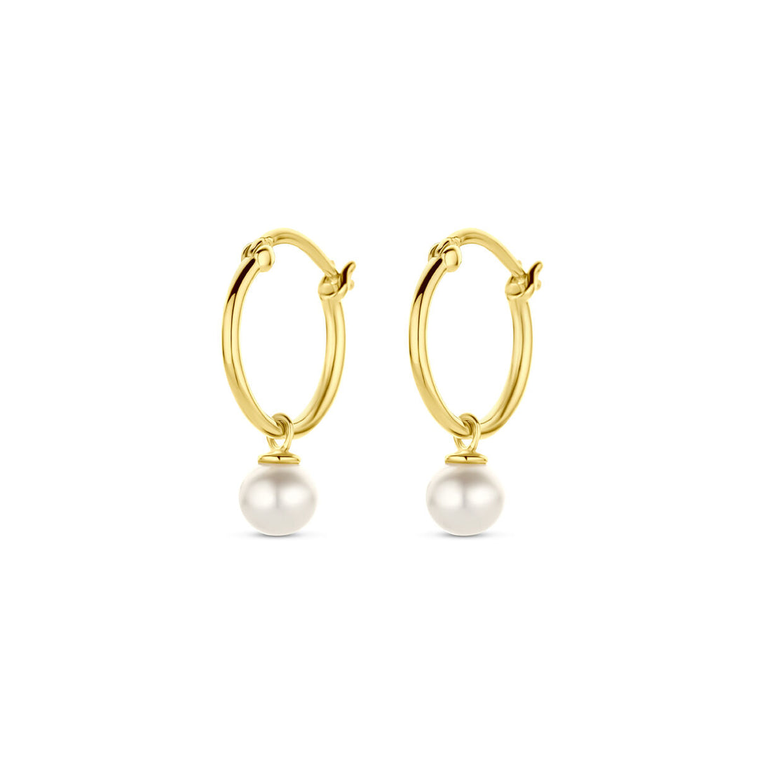 oorringen parel 14K geelgoud