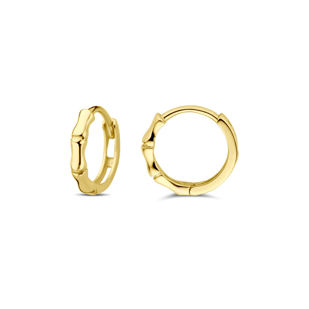 klapoorringen 9,5 mm 14K geelgoud