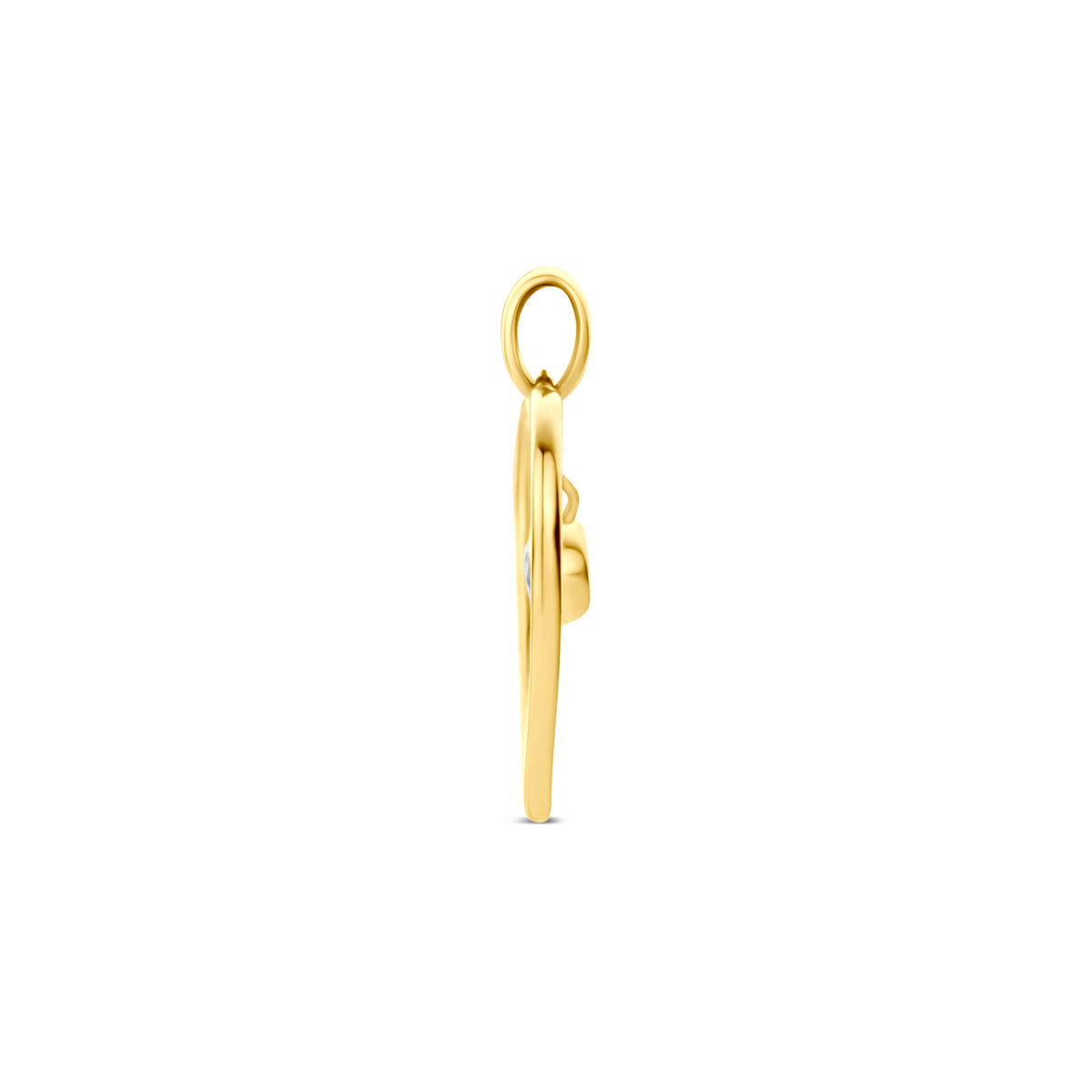 9k hanger hart zirkonia 9K geel