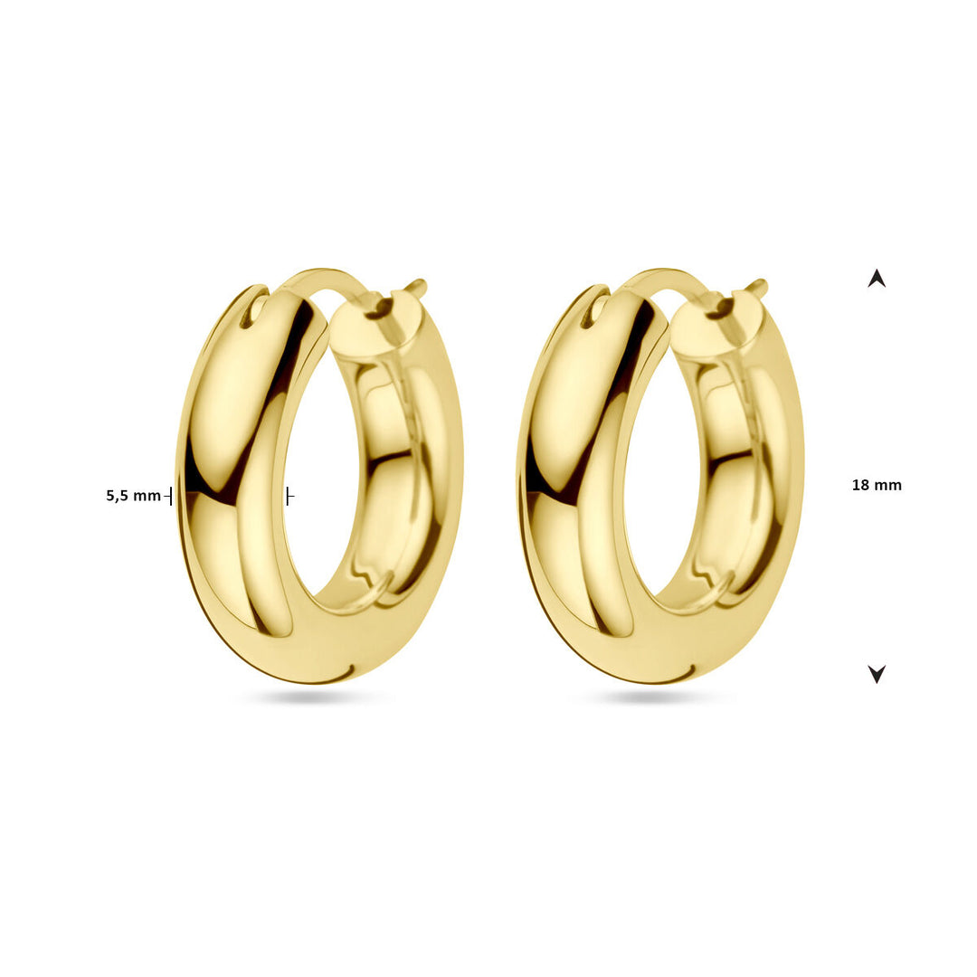 Ohrringe 1 Mikron Silber vergoldet (gelb)