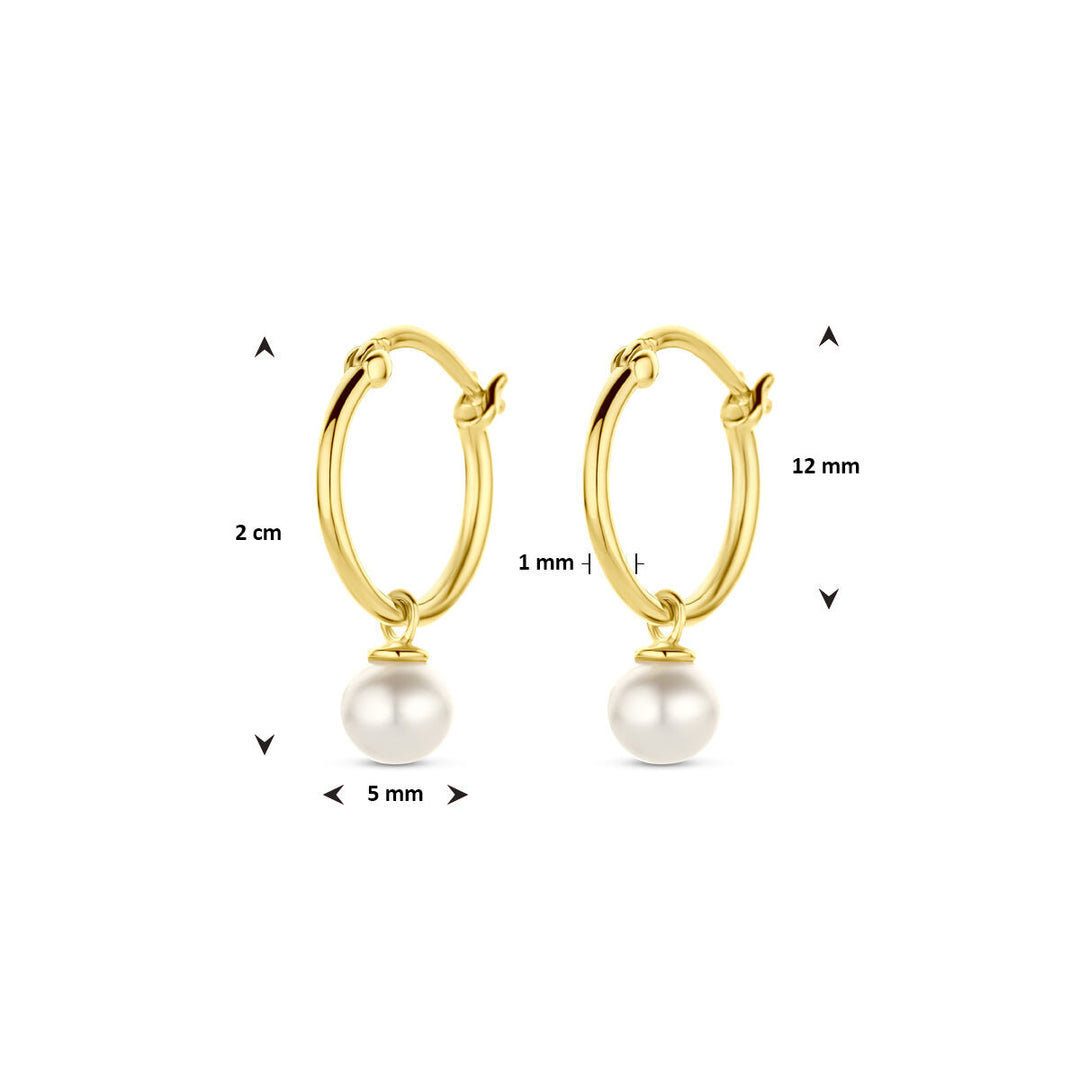 oorringen parel 14K geelgoud