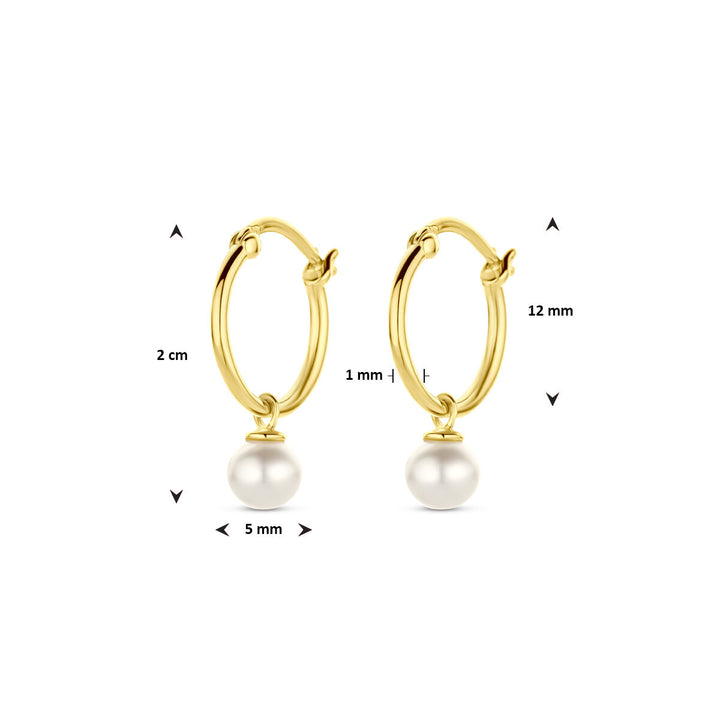 oorringen parel 14K geelgoud