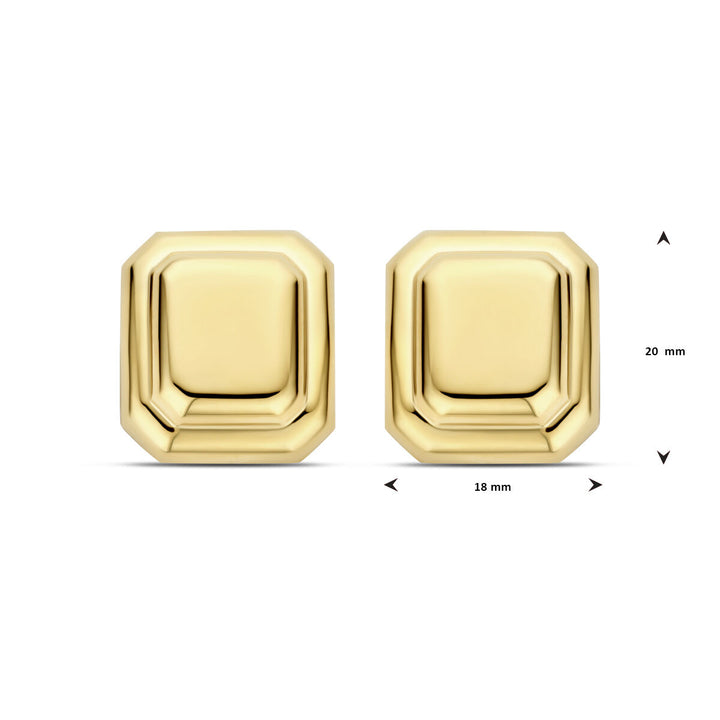 oorknoppen 20 mm 1 micron zilver verguld (geel)