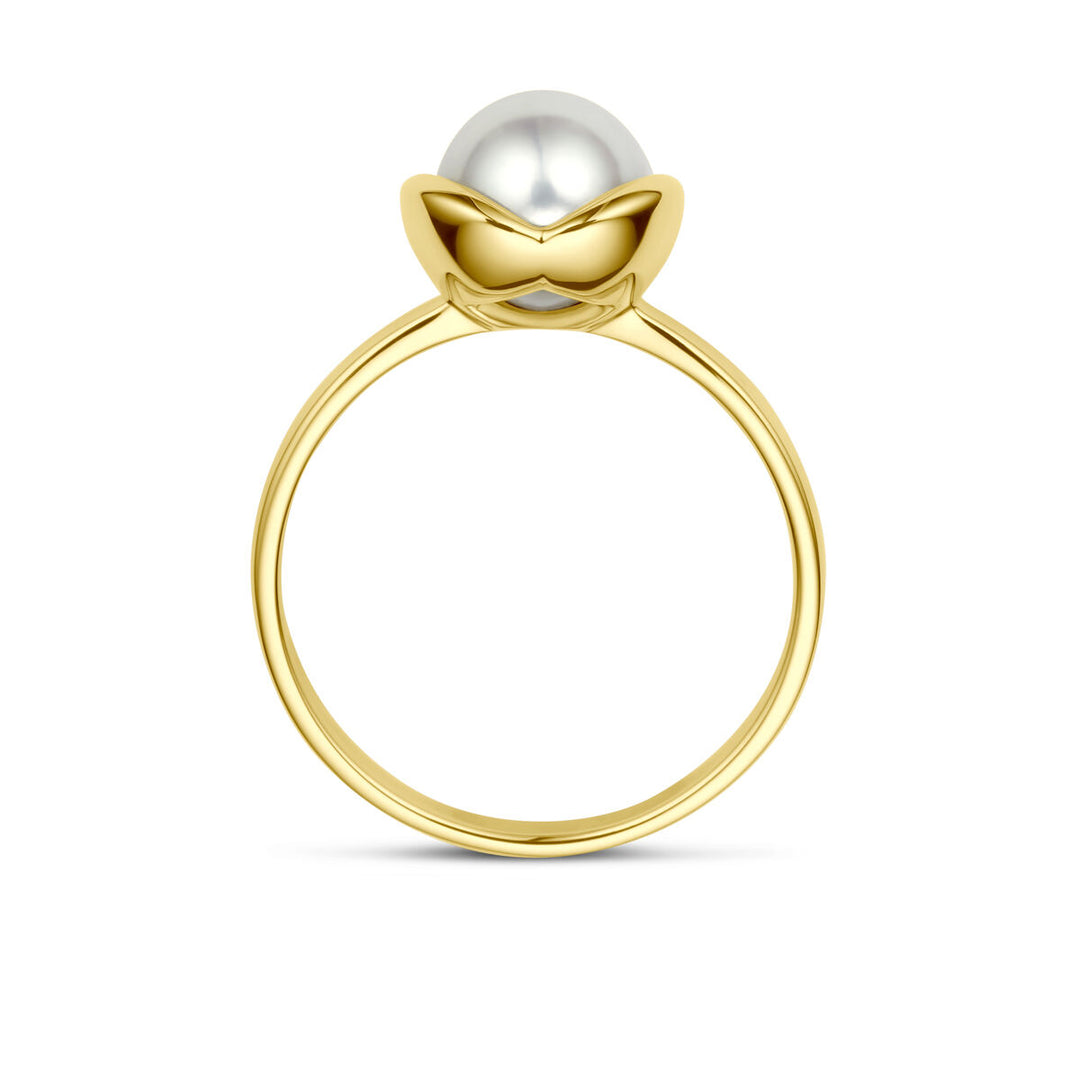 ring parel 14K geelgoud