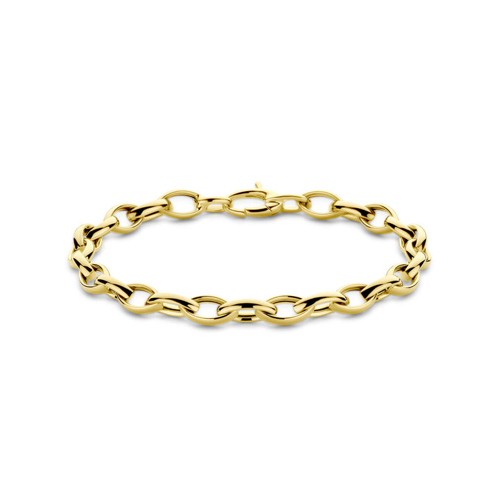 De Van der Kooij Collectie armband 6,0 mm 19,5 cm in 14K geelgoud heeft ovale schakels en een karabijnsluiting, elegant gepresenteerd op een witte achtergrond.