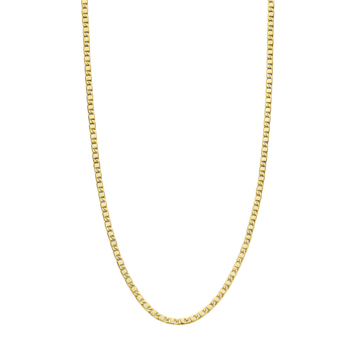 Gold chain men - necklace 3.5 mm 14K