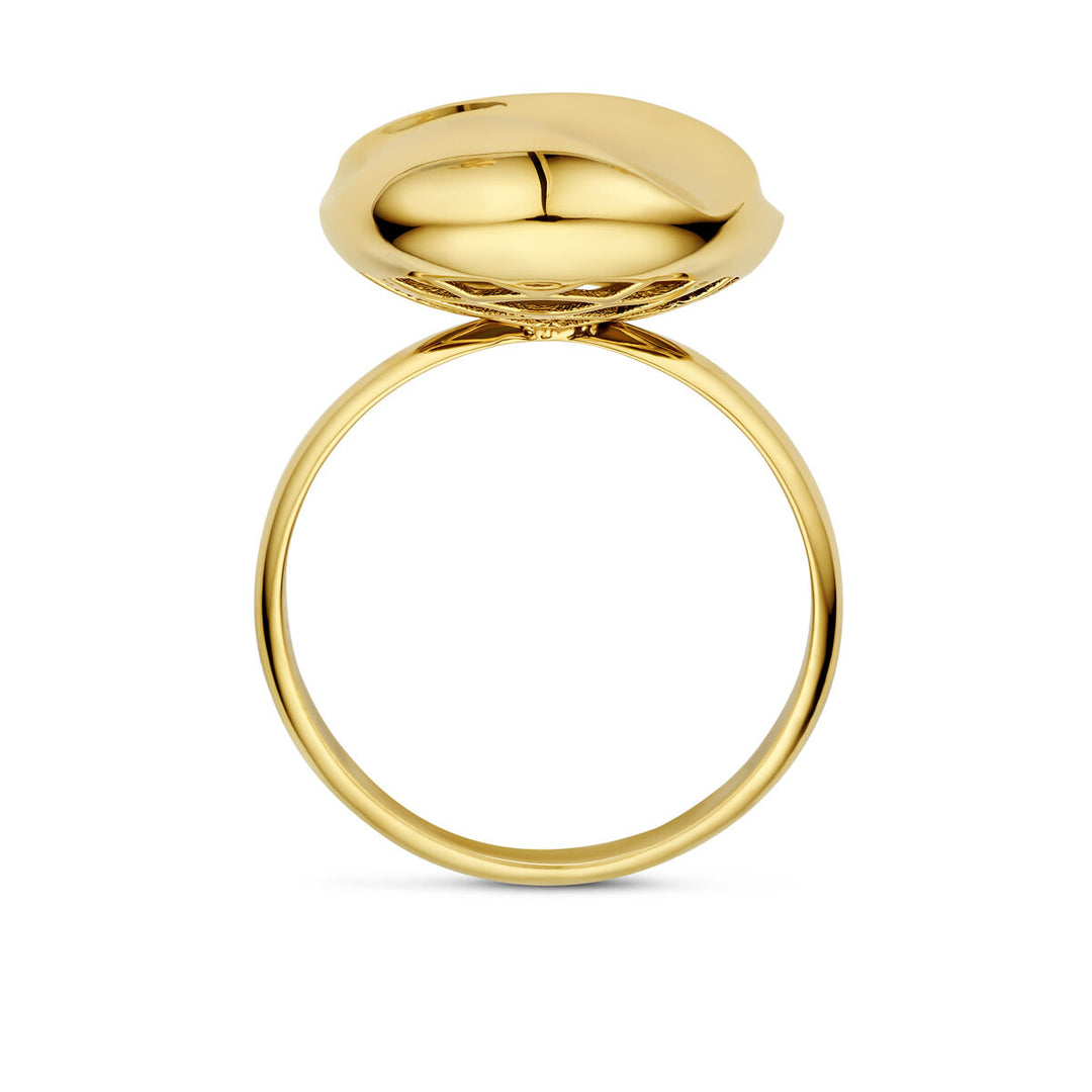 ring 14K geelgoud