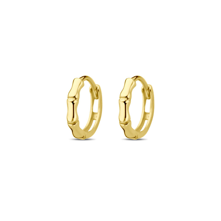 klapoorringen 9,5 mm 14K geelgoud