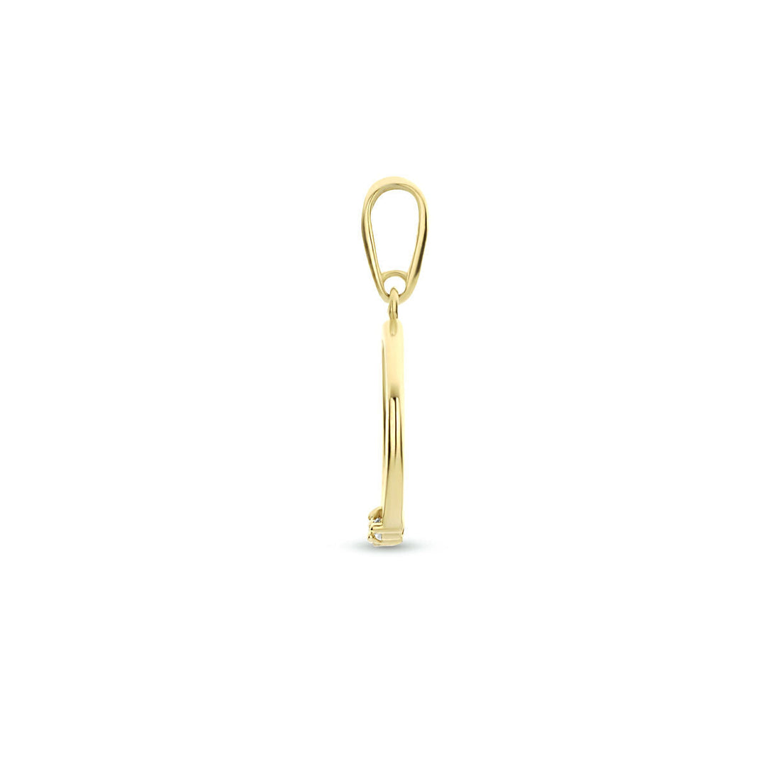 hanger rond zirkonia 14K geelgoud