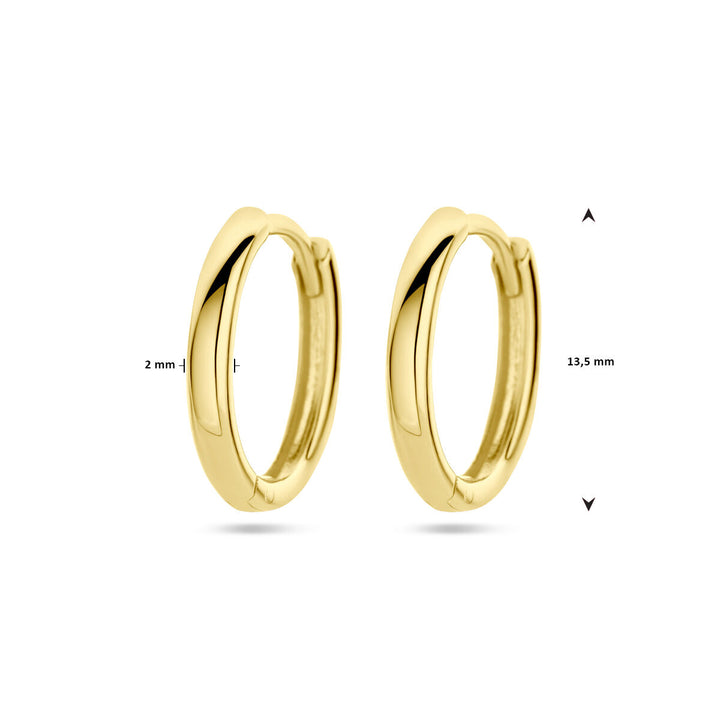 drop earrings 14K yellow gold