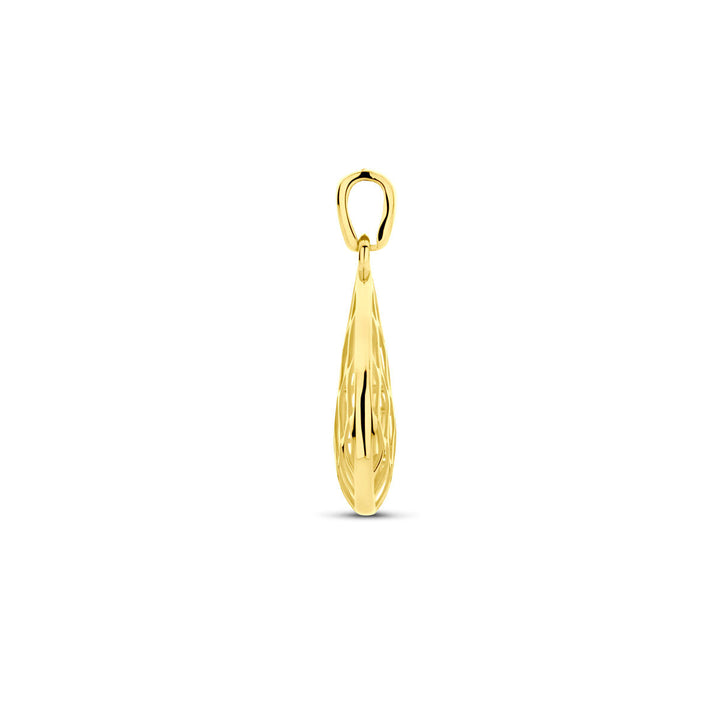 14k Geelgouden Hanger – 24x12mm voor Dames