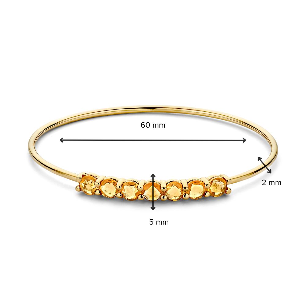 Geelgouden Bangle met Citrien 14 Karaat, 60x50 mm, Warme Gloed
