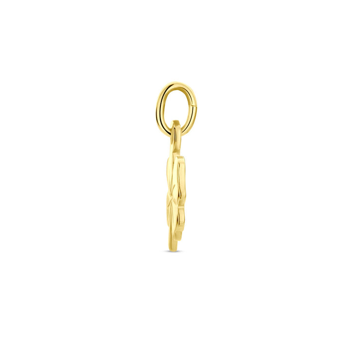 Zijaanzicht van de Van der Kooij Collectie hanger klaver, een 14K geelgoud hanger met ronde lus en bloemmotief, ideaal voor dames ketting, getoond op een witte achtergrond.