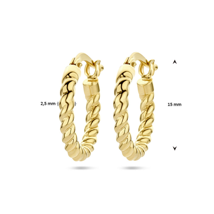 oorringen gedraaide buis 1 micron zilver verguld (geel)