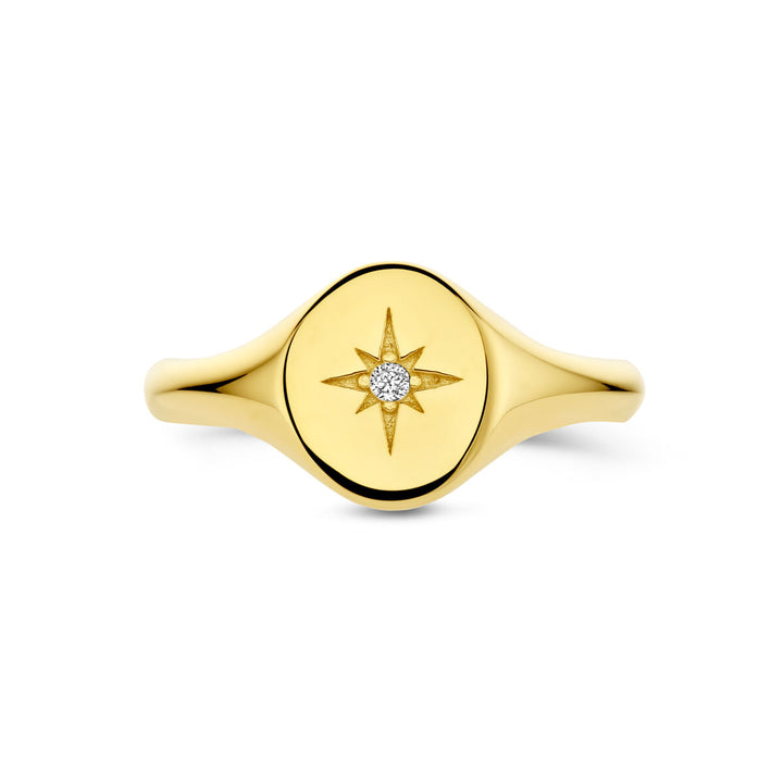 ring zirkonia 14K geelgoud