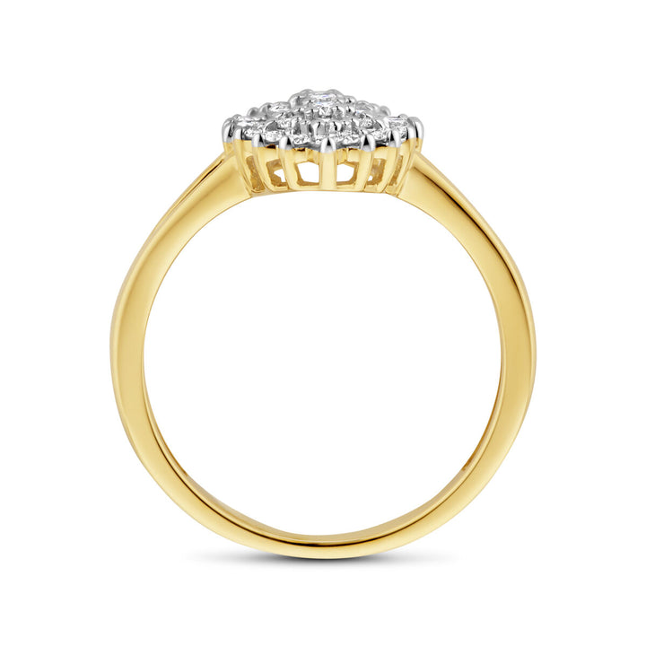 De Van der Kooij Collectie ring lab-grown diamant 0.48ct H SI in 14K geelgoud heeft een ronde clusterzetting en een vergelijkbare band, goed zichtbaar van opzij.