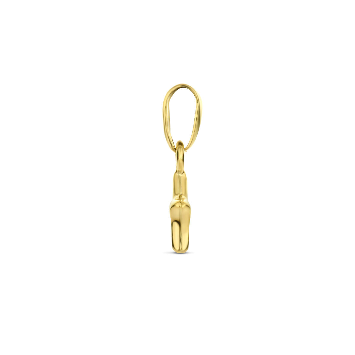 hanger ster 14K geelgoud