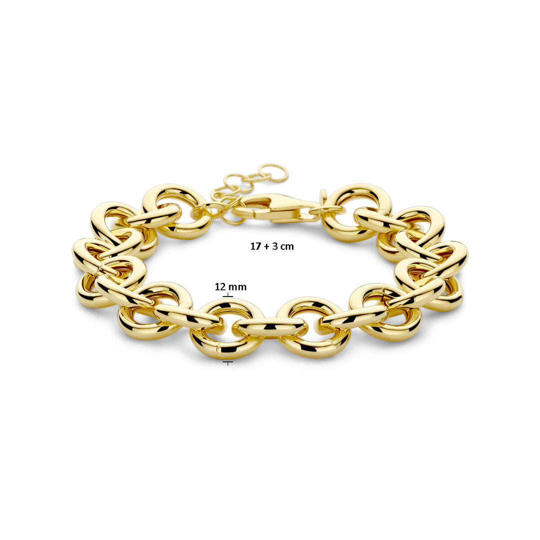 armband 12 mm 17 + 3 cm 3 micron zilver verguld (geel)