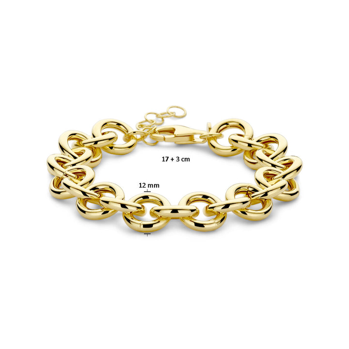 armband 12 mm 17 + 3 cm 3 micron zilver verguld (geel)