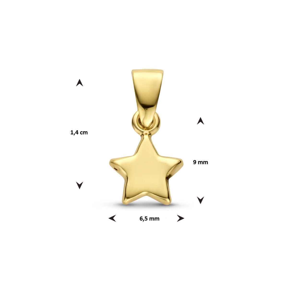 hanger ster 14K geelgoud