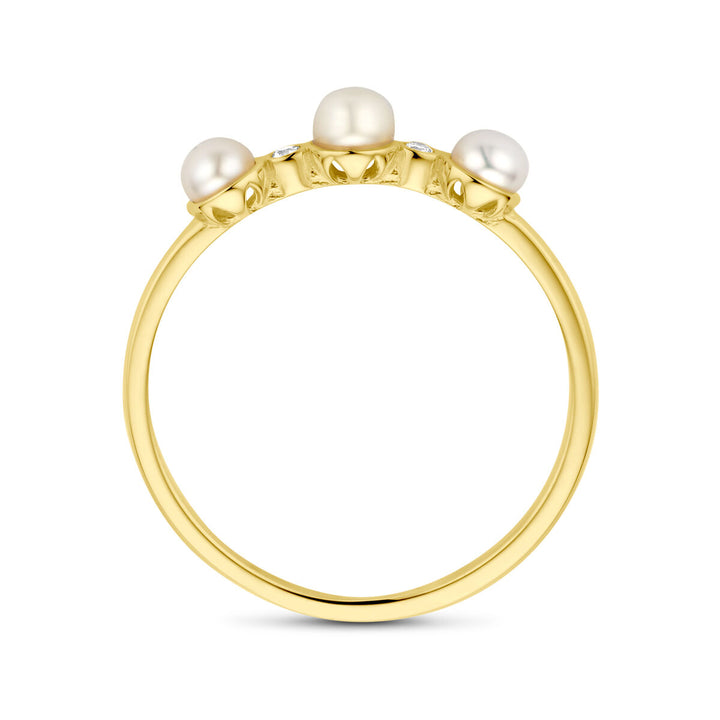 ring parel en zirkonia 14K geelgoud