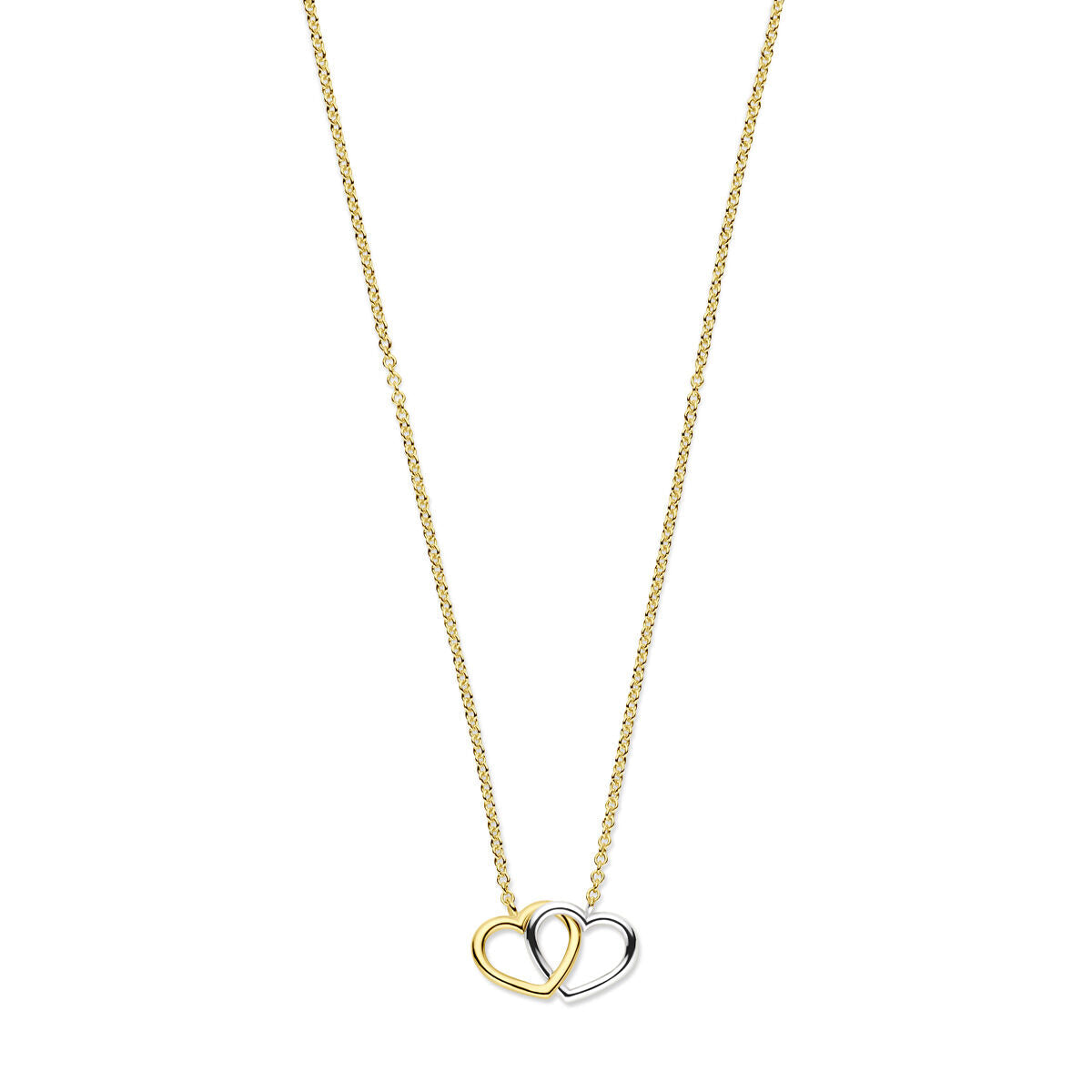 Bicolor collier van 14K goud met twee hartjes, één geel en één wit, op een fijne ketting.