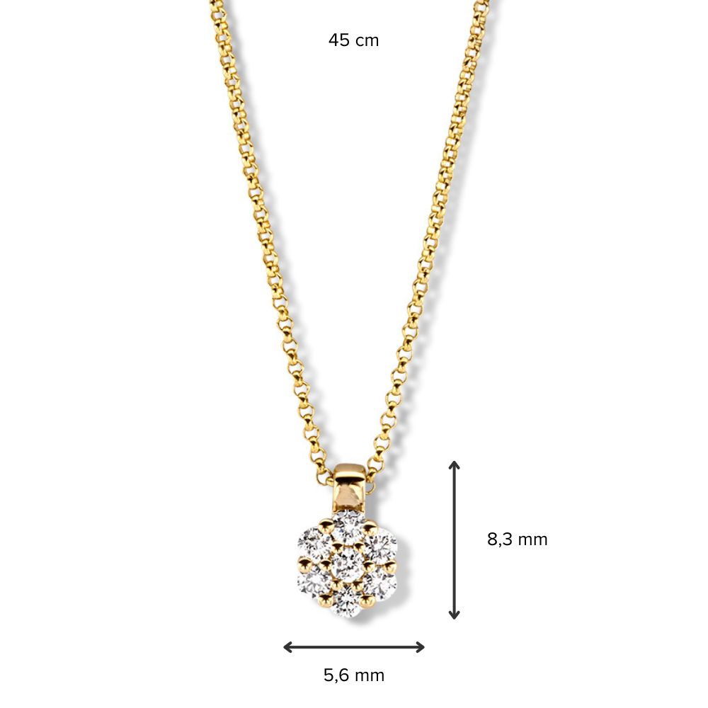 Geelgouden Collier met Diamanten Hanger in Entourage Zetting - 14 Karaat