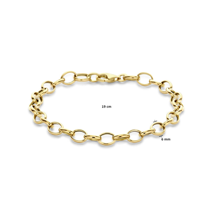 armband fantasie schakel 6,0 mm 19 cm 14K geelgoud
