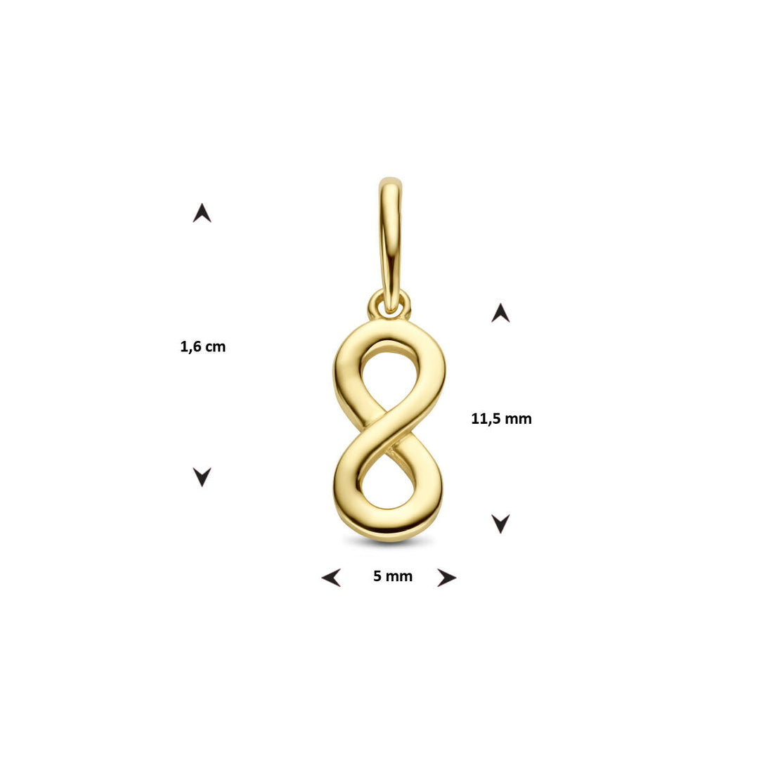 De hanger infinity 14K geelgoud van Van der Kooij Collectie is circa 1,6 cm hoog, 1,15 cm breed en 5 mm dik. Dit dames sieraad met een lus voor een ketting is ideaal als vriendschapscadeau en wordt afgebeeld op een witte achtergrond.
