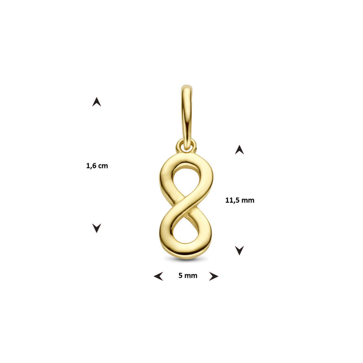De hanger infinity 14K geelgoud van Van der Kooij Collectie is circa 1,6 cm hoog, 1,15 cm breed en 5 mm dik. Dit dames sieraad met een lus voor een ketting is ideaal als vriendschapscadeau en wordt afgebeeld op een witte achtergrond.