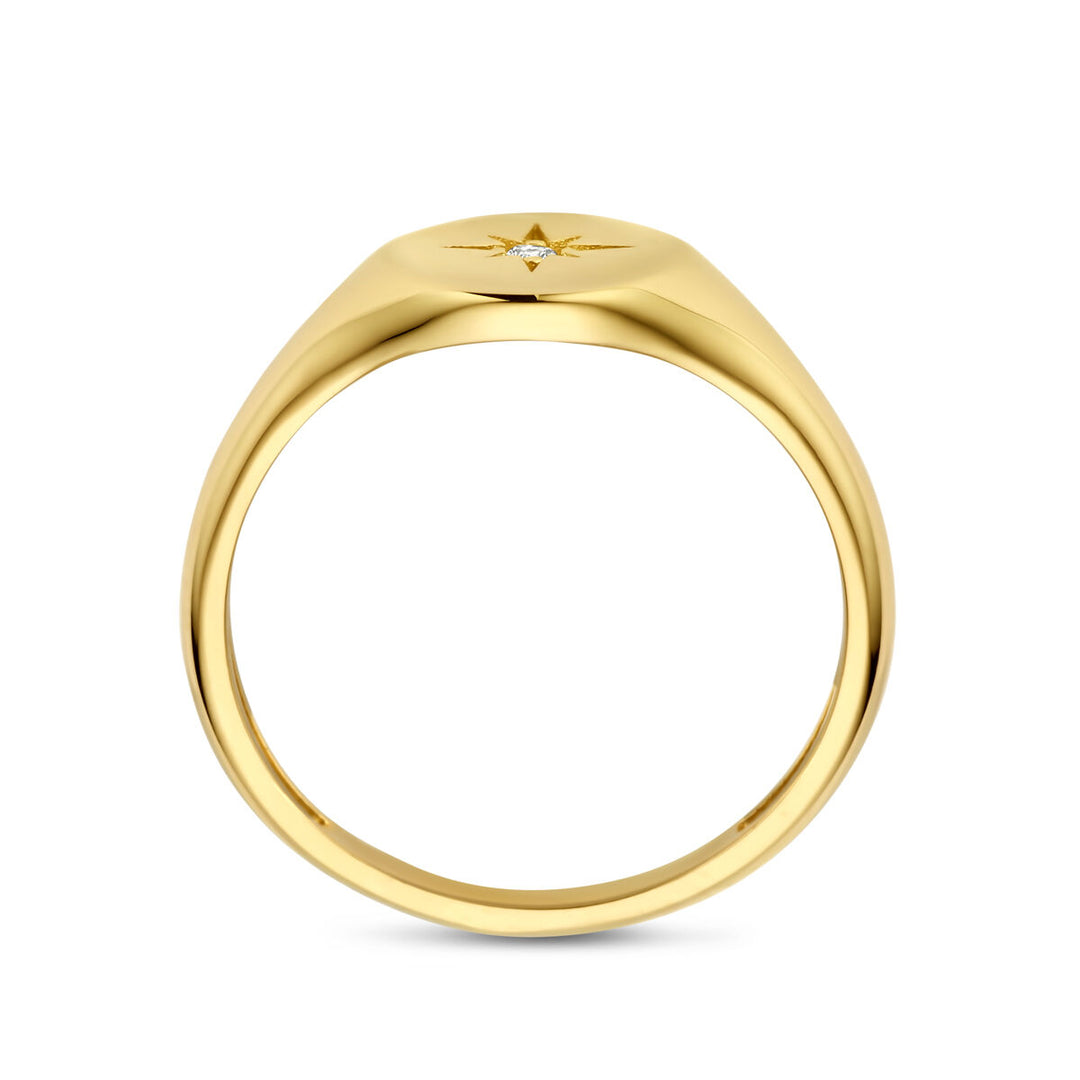 ring zirkonia 14K geelgoud