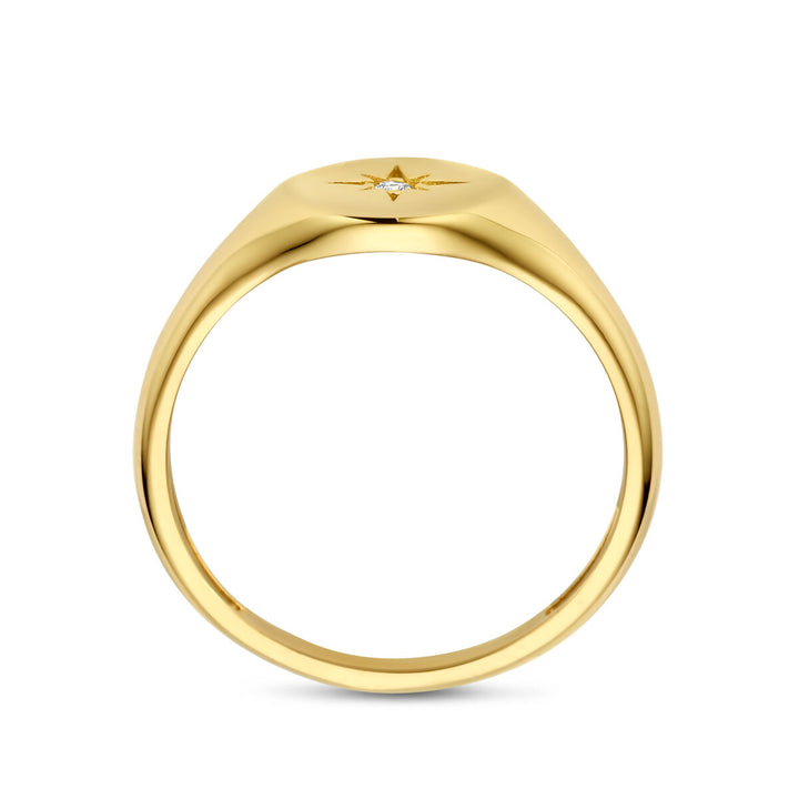 ring zirkonia 14K geelgoud