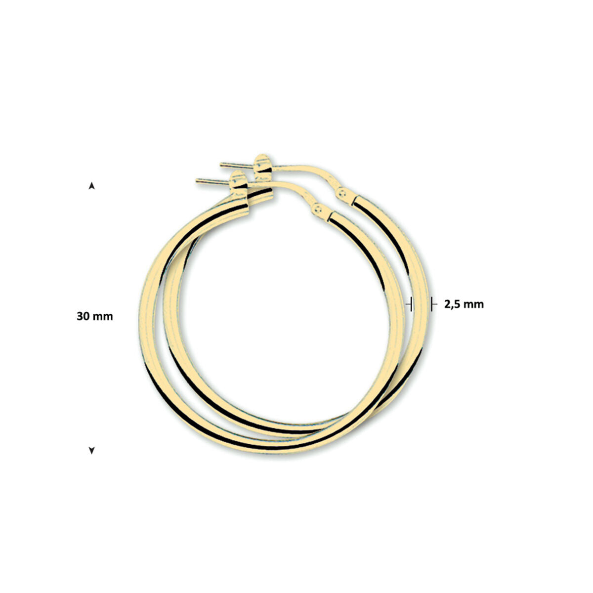 oorringen 2,5 mm ronde buis 1 micron zilver verguld (geel)