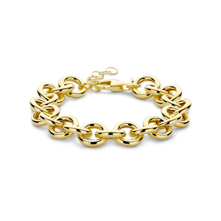 armband 12 mm 17 + 3 cm 3 micron zilver verguld (geel)