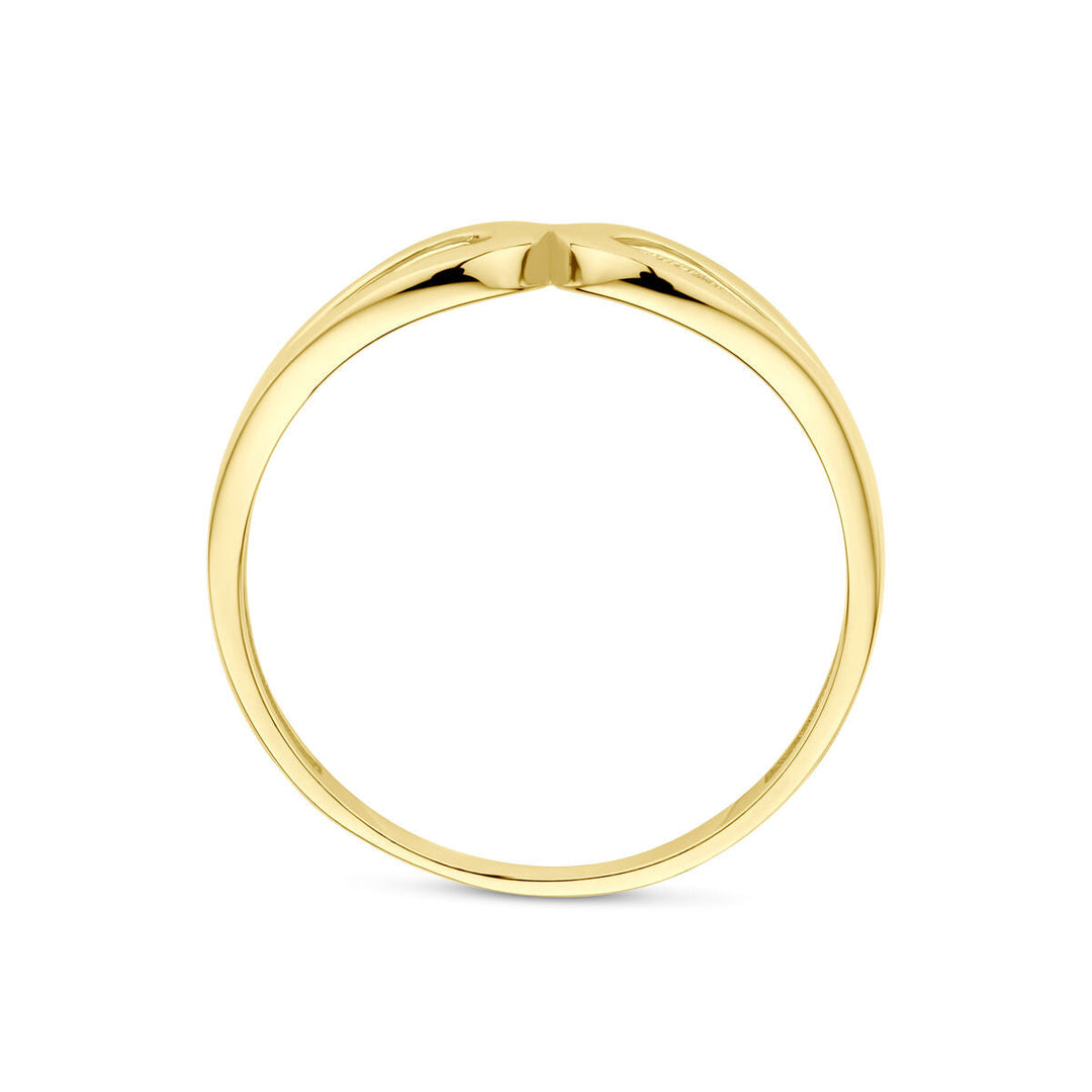 ring 14K geelgoud