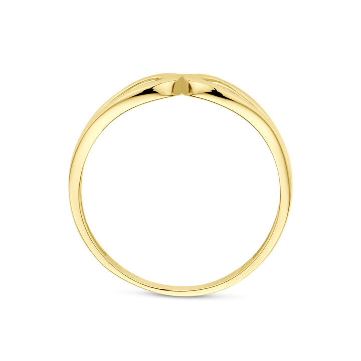 ring 14K geelgoud