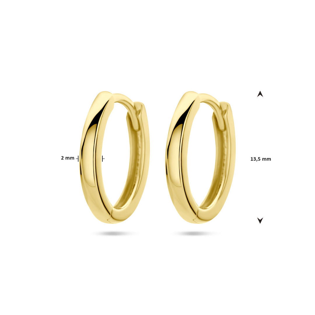 De Van der Kooij Collectie klapoorringen 14K geelgoud zijn kleine damesoorbellen met een glanzende afwerking, 2 mm dik en 13,5 mm in diameter, afgebeeld op een witte achtergrond – perfect voor elke gelegenheid.