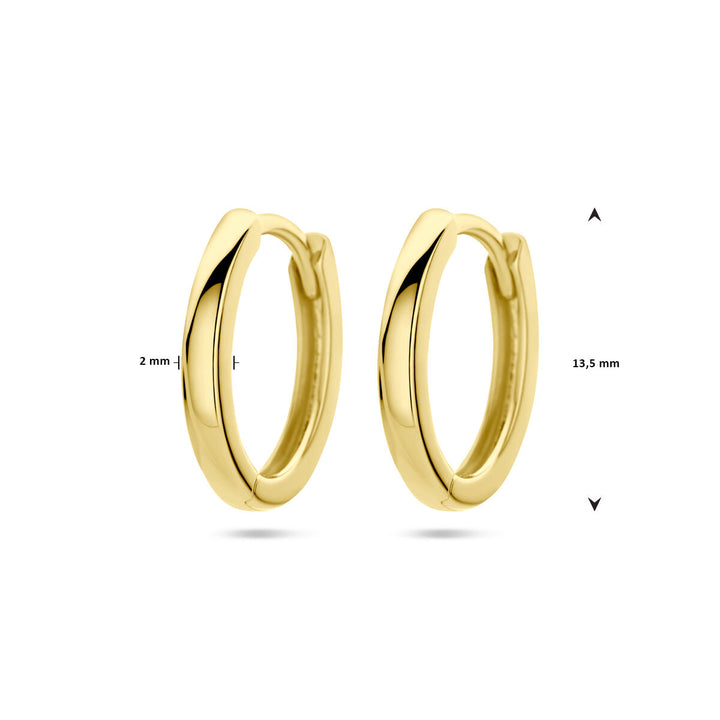 De Van der Kooij Collectie klapoorringen 14K geelgoud zijn kleine damesoorbellen met een glanzende afwerking, 2 mm dik en 13,5 mm in diameter, afgebeeld op een witte achtergrond – perfect voor elke gelegenheid.