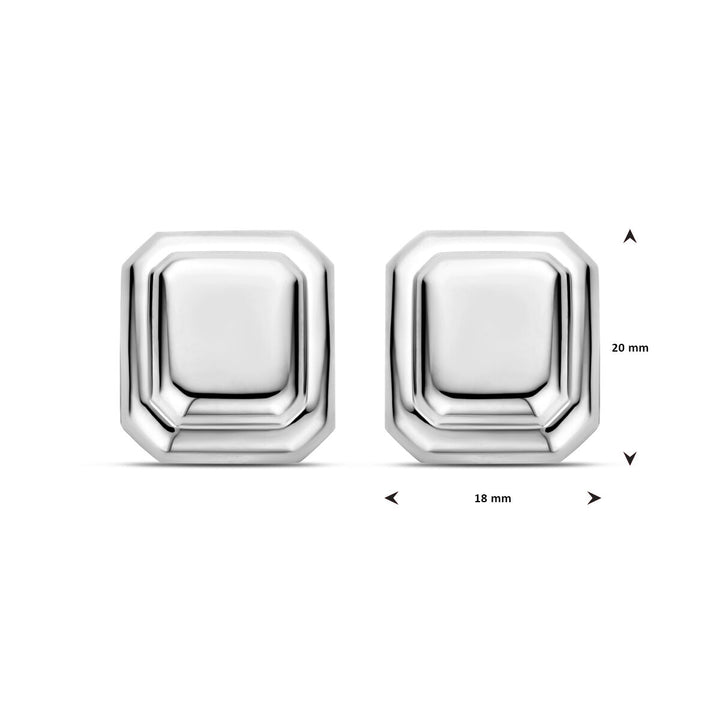 oorknoppen 20 mm zilver gerhodineerd