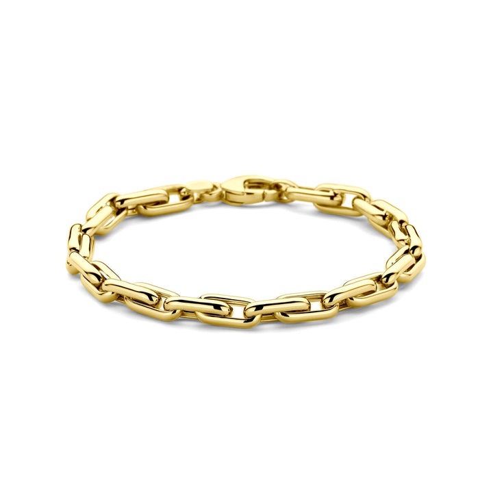 De Van der Kooij Collectie armband 5,5 mm 19 cm in 14K geelgoud heeft langwerpige anker schakels en een karabijnsluiting, afgebeeld op een witte achtergrond.