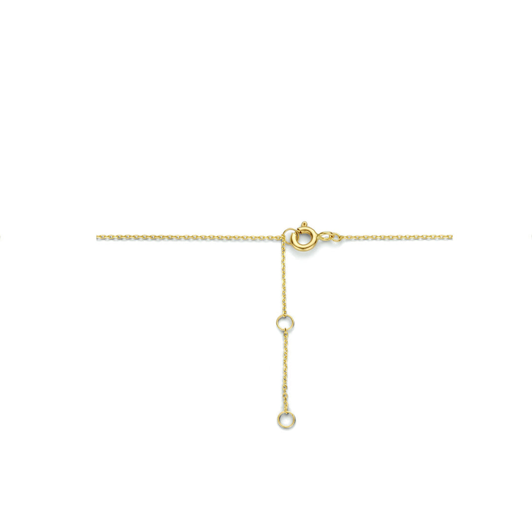 collier rondjes 40 - 42 - 44 cm 14K geelgoud